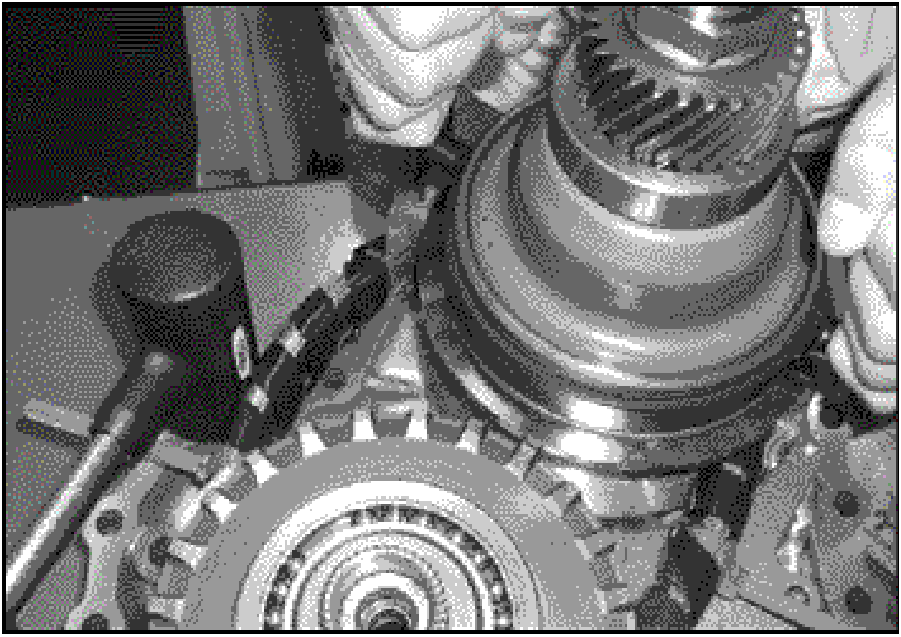 520065657_graphic-text22F